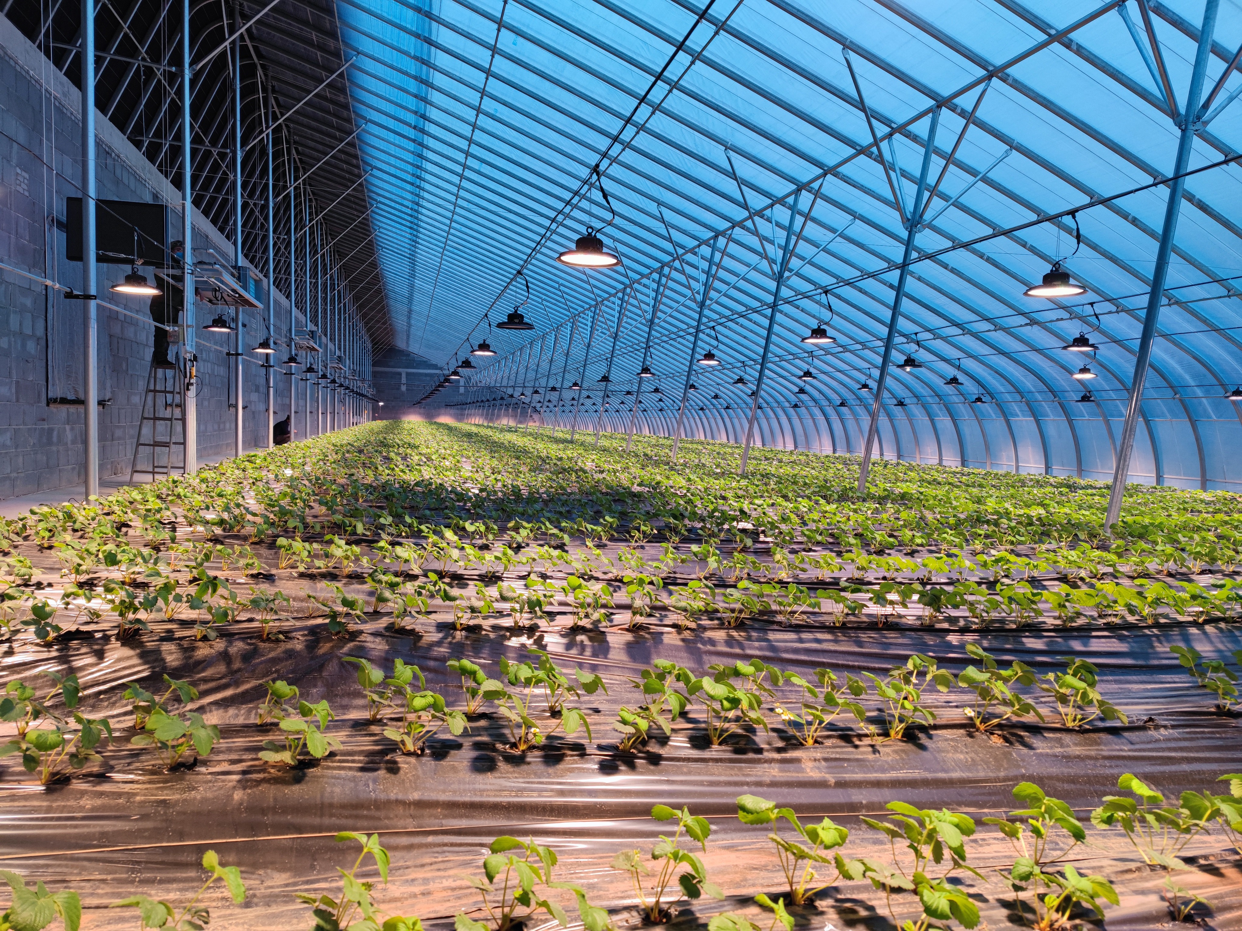 水肥一體化 水肥一體化